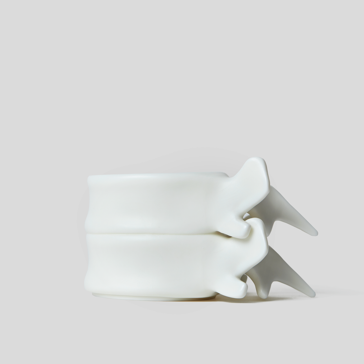 [Backorder] Porcelain Spine Cup – Artistic Coffee Cup