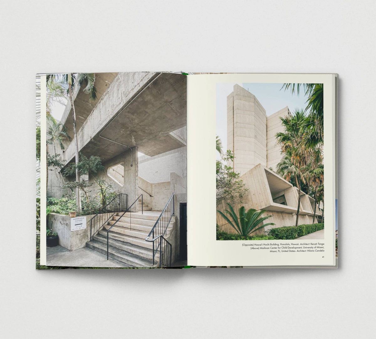Brutalist Plants