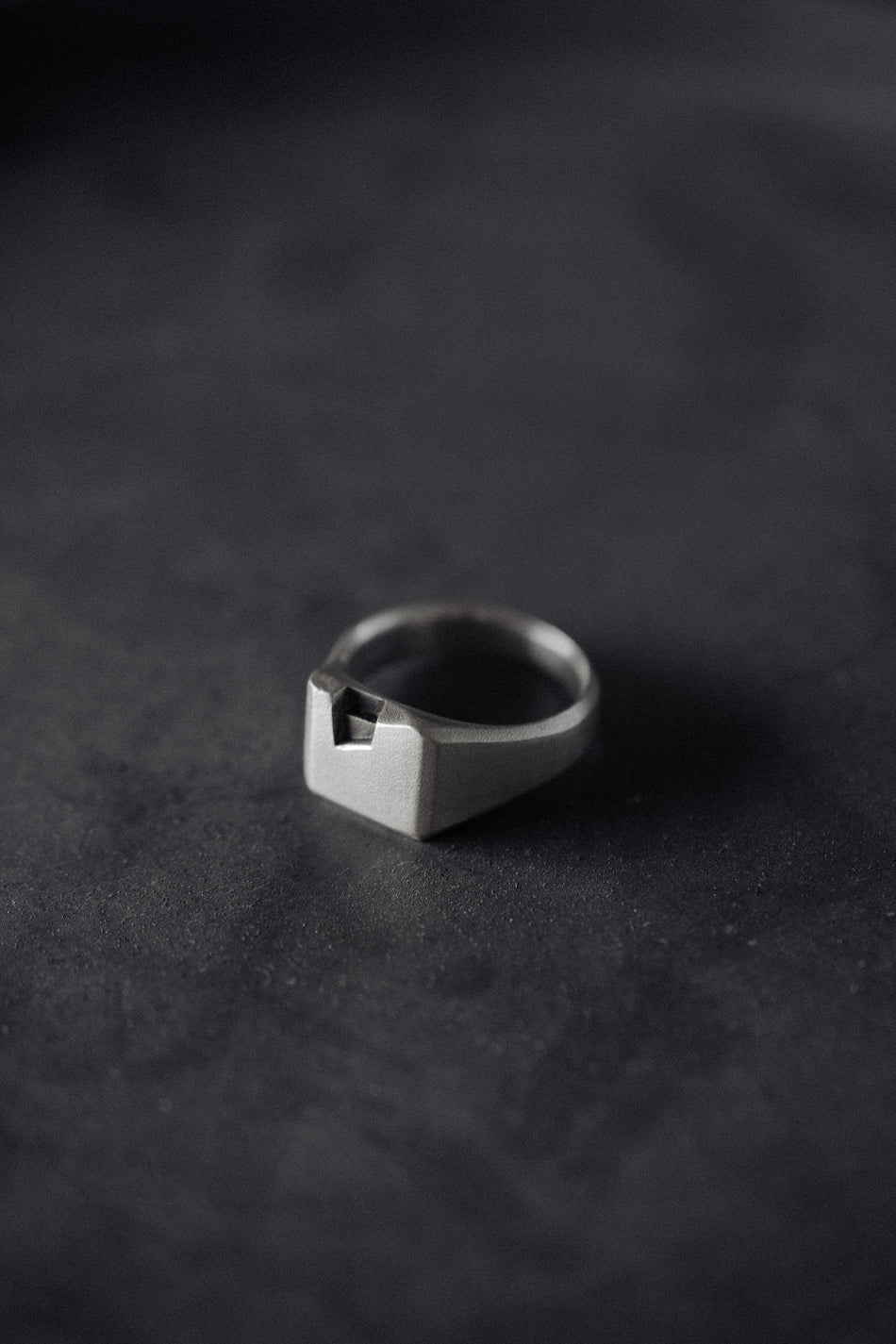 TERRAD-RING
